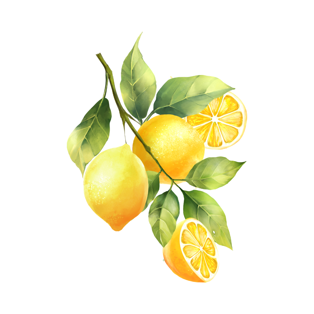 6 fragrâncias cítricas para amar o verão (e se apaixonar!)
